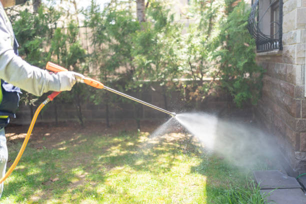 Best Mosquito Control  in Lutcher, LA